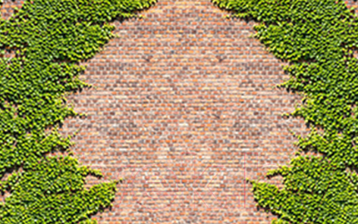 Фотофасад Arthata FotoSetka-250-23 - фото