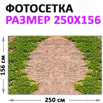 Фотофасад Arthata FotoSetka-250-23