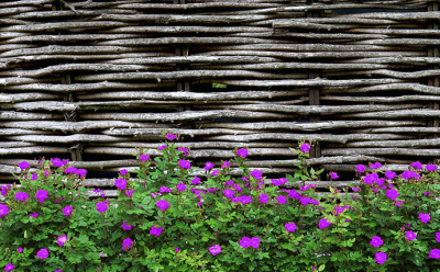 Фотофасад Arthata FotoSetka-250-93 - фото