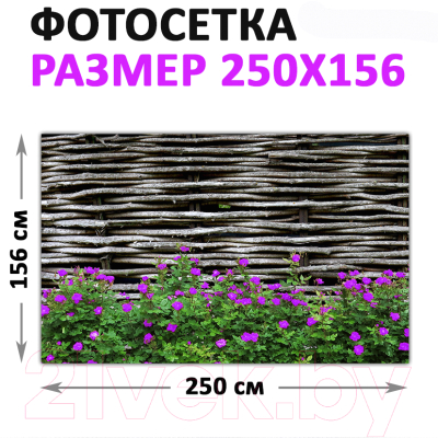 Фотофасад Arthata FotoSetka-250-93