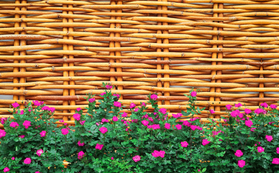 Фотофасад Arthata FotoSetka-250-94 - фото