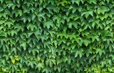 Фотофасад Arthata FotoSetka-100-12 - фото