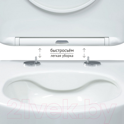 Унитаз подвесной с инсталляцией Berges Ventas Rimless / 043238 (с сиденьем)