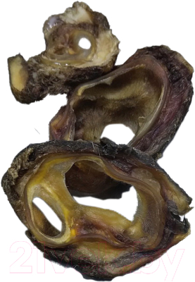 Лакомство для собак Виктус Ушная раковина говяжья обработанная - фото