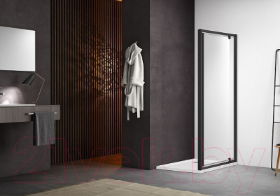 Душевая дверь Aquatek 100x200 / AQ ARI PI 10020BL (черный/прозрачное стекло)