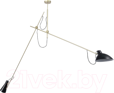 Потолочный светильник ST Luce SL1803.203.02 - фото