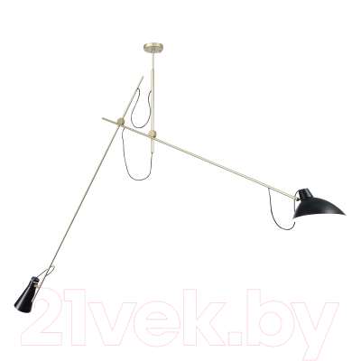 Потолочный светильник ST Luce SL1803.203.02