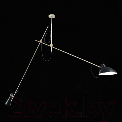 Потолочный светильник ST Luce SL1803.203.02