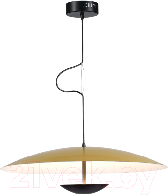 Потолочный светильник ST Luce SL6502.213.01 - фото