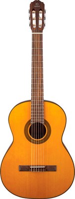 Акустическая гитара Solista SG-C1 NT - фото