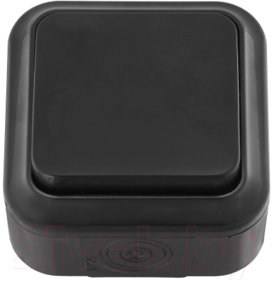 Выключатель Bylectrica А1 6-222 - фото