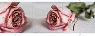 Экран для ванны МетаКам Премиум Арт 1.68 - фото