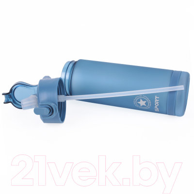 Бутылка для воды Darvish DV-H-1605-1