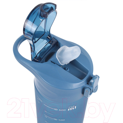 Бутылка для воды Darvish DV-H-1605-1