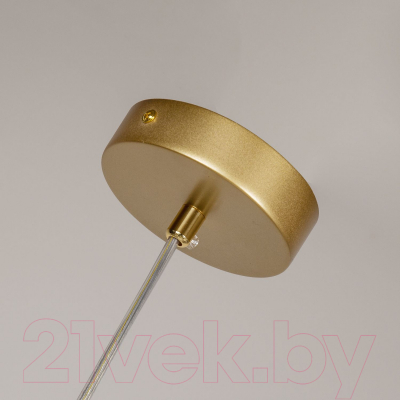 Потолочный светильник F-Promo F-Promo 4059-4P