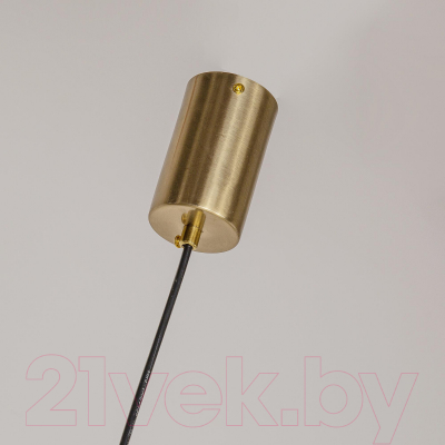 Потолочный светильник F-Promo F-Promo 4061-2P