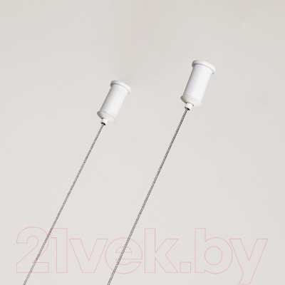 Потолочный светильник FAVOURITE Gnomes 4094-5P