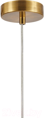 Потолочный светильник FAVOURITE Malinconia 4051-2P