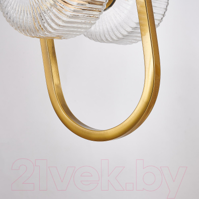 Потолочный светильник FAVOURITE Malinconia 4051-2P