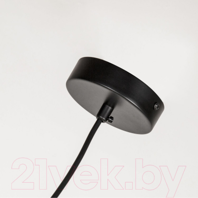 Потолочный светильник FAVOURITE Gnomes 4095-5P