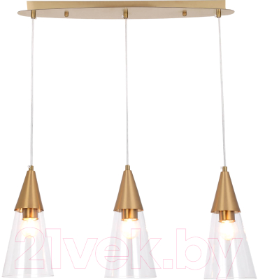 Потолочный светильник Ambrella Traditional / TR3669 - фото