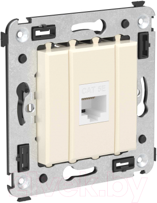 Розетка DKC Avanti RJ-45 / 4405663