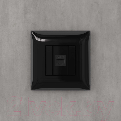 Розетка DKC Avanti RJ-45 / 4402663