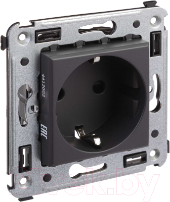 Розетка DKC Avanti 2P+E / 4412003