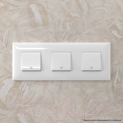 Рамка для выключателей и розеток DKC Avanti / 4400906