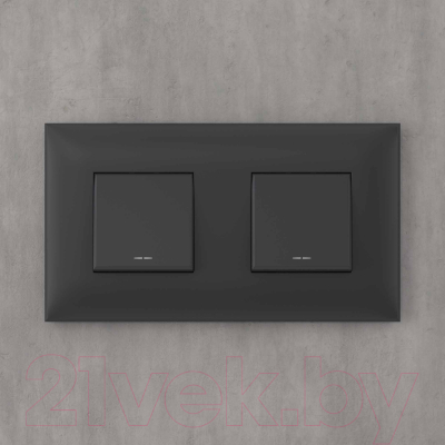 Рамка для выключателей и розеток DKC Avanti / 4412904