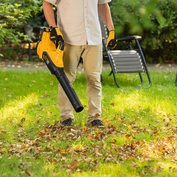 Воздуходувка аккумуляторная Denzel RB180-36 / 59610