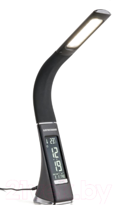 Настольная лампа Elektrostandard Elara TL90220
