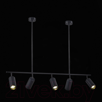 Люстра ST Luce SL1206.403.05