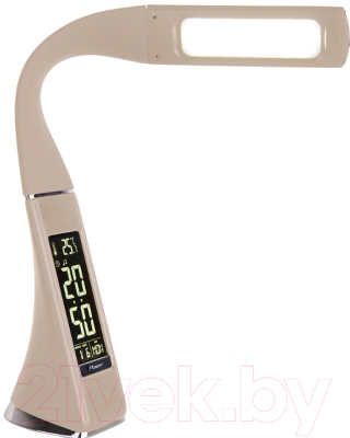 Настольная лампа Elektrostandard Elara TL90220 - фото