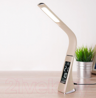 Настольная лампа Elektrostandard Elara TL90220