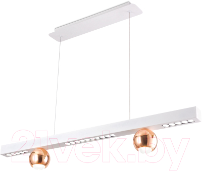 Потолочный светильник Ambrella Comfort / FL5955 - фото