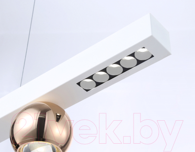 Потолочный светильник Ambrella Comfort / FL5955