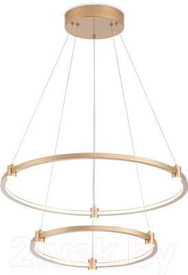 Потолочный светильник Ambrella Comfort / FL5508 - фото