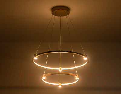 Потолочный светильник Ambrella Comfort / FL5508