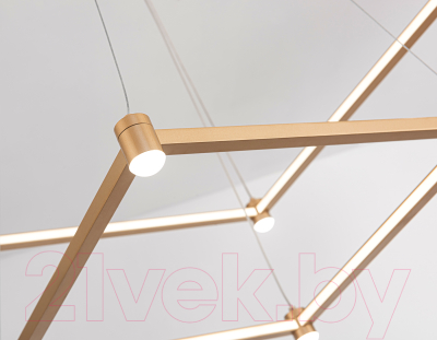 Потолочный светильник Ambrella Comfort / FL5599