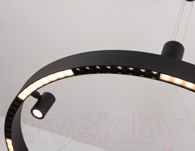 Потолочный светильник Ambrella Comfort / FL5845