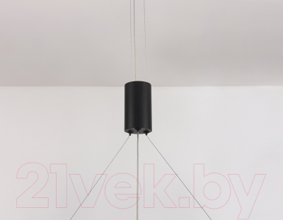 Потолочный светильник Ambrella Comfort / FL5845