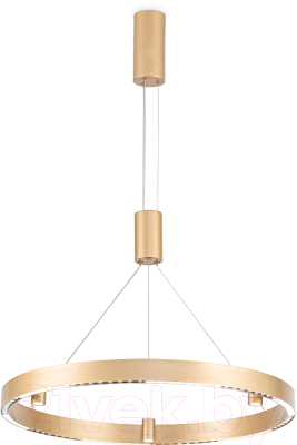 Потолочный светильник Ambrella Comfort / FL5846 - фото