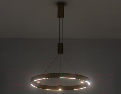 Потолочный светильник Ambrella Comfort / FL5846