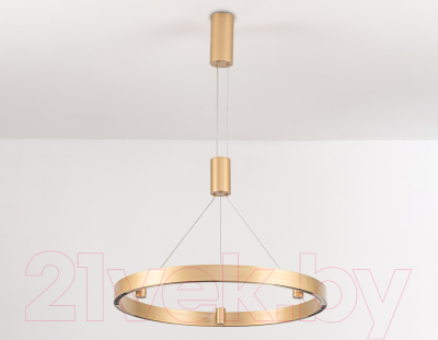 Потолочный светильник Ambrella Comfort / FL5846