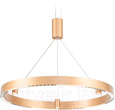 Потолочный светильник Ambrella Comfort / FL5846