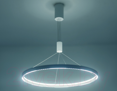 Потолочный светильник Ambrella Comfort / FL5855