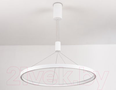 Потолочный светильник Ambrella Comfort / FL5855