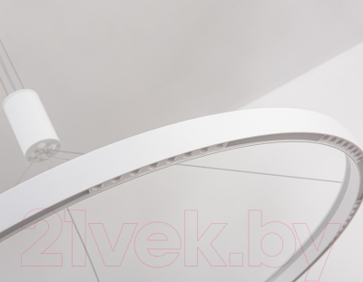 Потолочный светильник Ambrella Comfort / FL5855