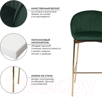 Стул барный Bergenson Bjorn Coral / BEBA-CO10888